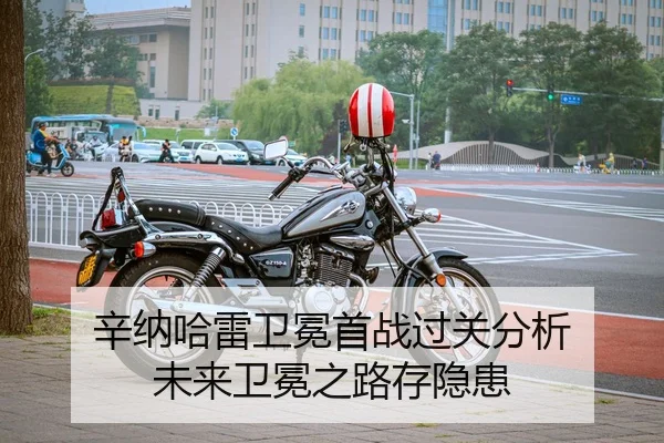 xin-na-ha-lei-wei-mian-shou-zhan-guo-guan-fen-xi-wei-lai-wei-mian-zhi-lu-cun-yin-huan-2-173.jpg